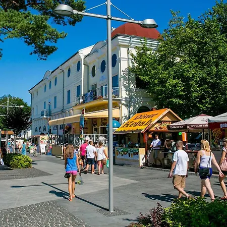 Malachit * 미엥지즈드로예